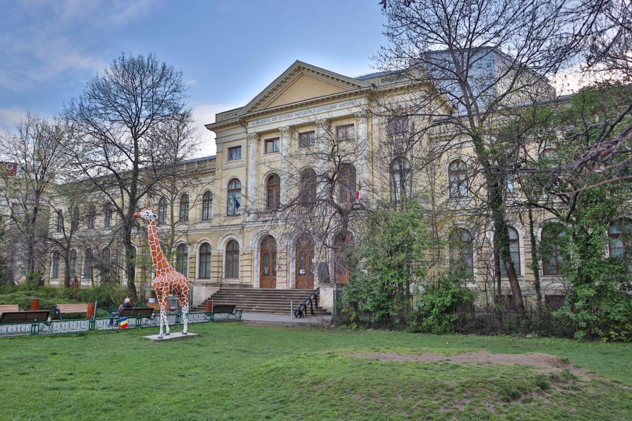 Oak Apartment - Piata Victoriei Boekarest Buitenkant foto